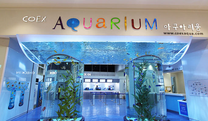 Coex Aquarium Discount Ticket - Trazy, Your Travel Shop for Asia