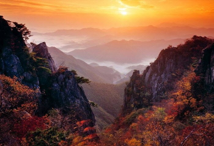 Korea Fall Foliage Shuttle Bus Tour: Naejangsan National Park - Trazy ...