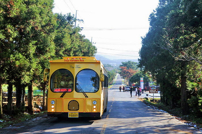 tourist bus in jeju
